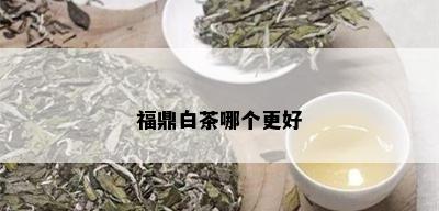 福鼎白茶哪个更好