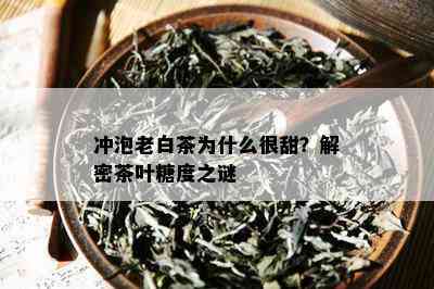 冲泡老白茶为什么很甜？解密茶叶糖度之谜