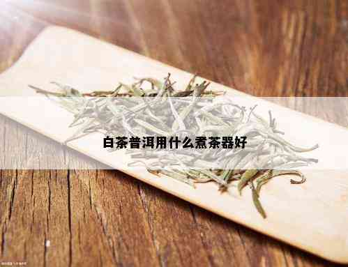 白茶普洱用什么煮茶器好