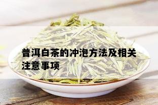 普洱白茶的冲泡方法及相关注意事项