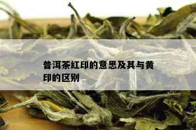 普洱茶红印的意思及其与黄印的区别