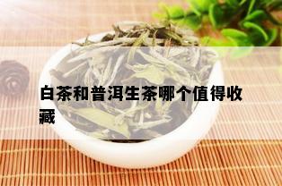 白茶和普洱生茶哪个值得收藏