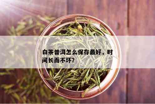 白茶普洱怎么保存更好，时间长而不坏？