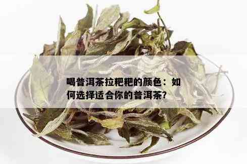 喝普洱茶拉粑粑的颜色：如何选择适合你的普洱茶？