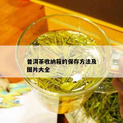 普洱茶收纳箱的保存方法及图片大全