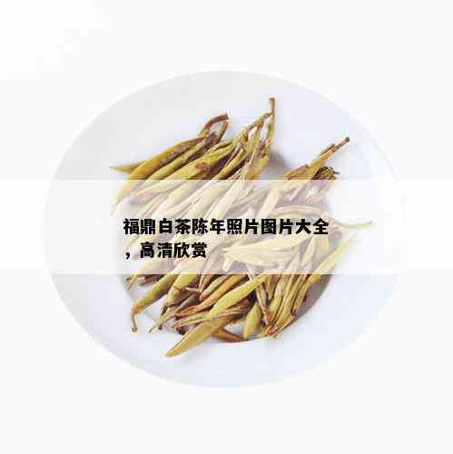 福鼎白茶陈年照片图片大全，高清欣赏