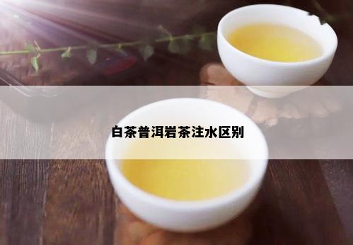 白茶普洱岩茶注水区别