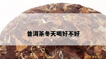 普洱茶冬天喝好不好