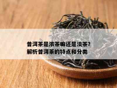 普洱茶是浓茶嘛还是淡茶？解析普洱茶的特点和分类