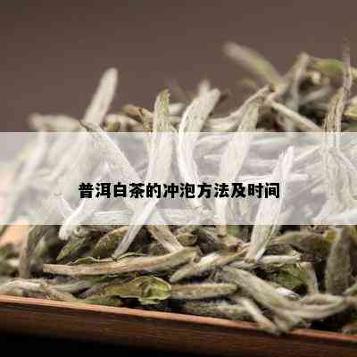 普洱白茶的冲泡方法及时间