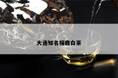 大连知名福鼎白茶