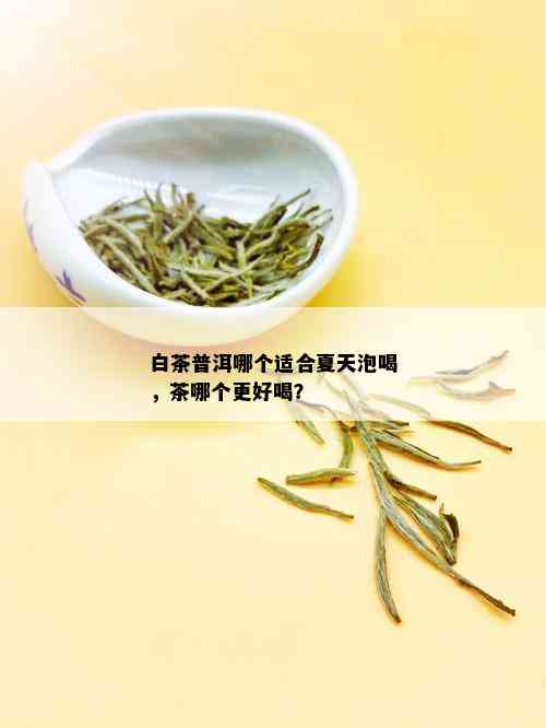 白茶普洱哪个适合夏天泡喝，茶哪个更好喝？