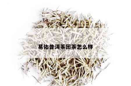 易佑普洱茶团茶怎么样