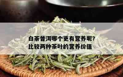 白茶普洱哪个更有营养呢？比较两种茶叶的营养价值