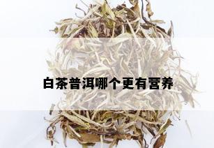 白茶普洱哪个更有营养