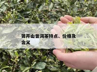 贺开山普洱茶特点、价格及含义