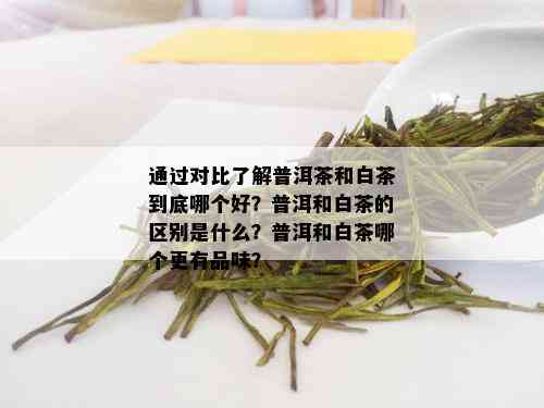 通过对比了解普洱茶和白茶到底哪个好？普洱和白茶的区别是什么？普洱和白茶哪个更有品味？