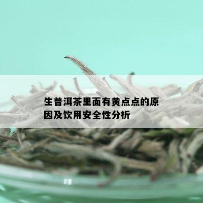 生普洱茶里面有黄点点的原因及饮用安全性分析