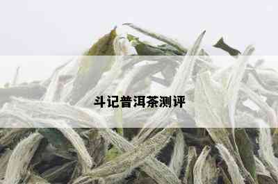 斗记普洱茶测评