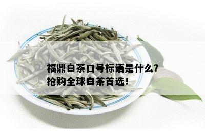 福鼎白茶口号标语是什么？抢购全球白茶首选！