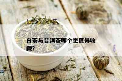 白茶与普洱茶哪个更值得收藏？