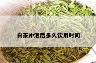 白茶冲泡后多久饮用时间