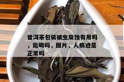 普洱茶包装被虫腐蚀有用吗，能喝吗，图片，人痕迹是正常吗