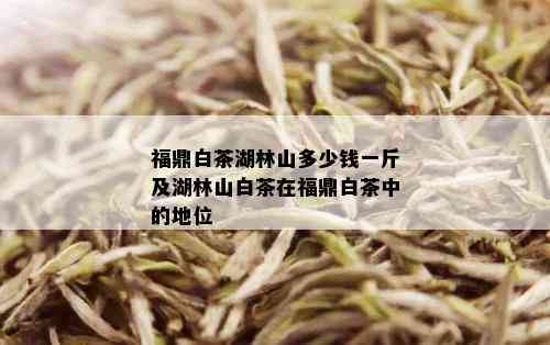 福鼎白茶湖林山多少钱一斤及湖林山白茶在福鼎白茶中的地位