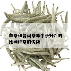 白茶和普洱茶哪个茶好？对比两种茶的优势