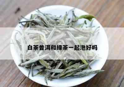 白茶普洱和绿茶一起泡好吗