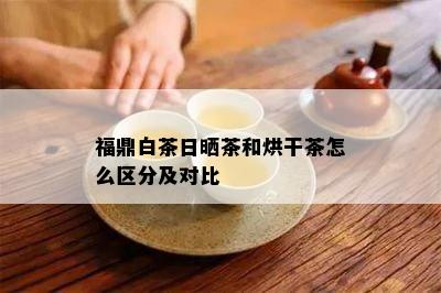 福鼎白茶日晒茶和烘干茶怎么区分及对比