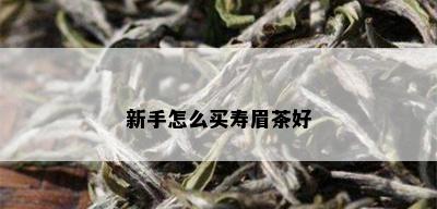 新手怎么买寿眉茶好