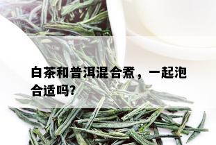 白茶和普洱混合煮，一起泡合适吗？