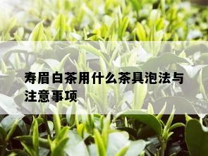 寿眉白茶用什么茶具泡法与注意事项