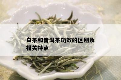 白茶和普洱茶功效的区别及相关特点