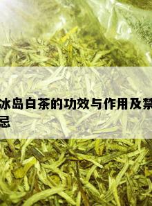 冰岛白茶的功效与作用及禁忌