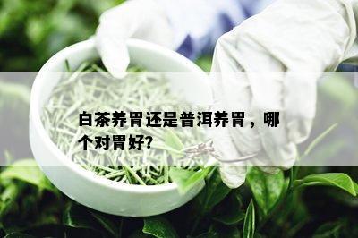 白茶养胃还是普洱养胃，哪个对胃好？