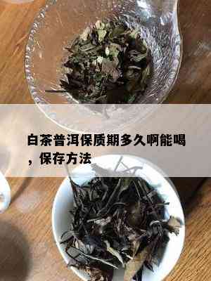 白茶普洱保质期多久啊能喝，保存方法