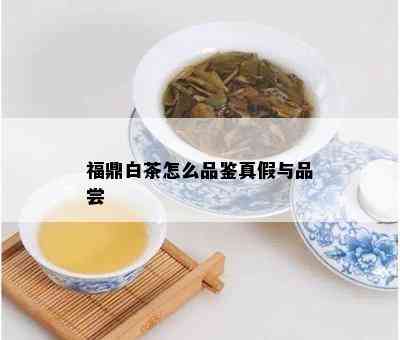 福鼎白茶怎么品鉴真假与品尝