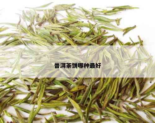 普洱茶饼哪种更好