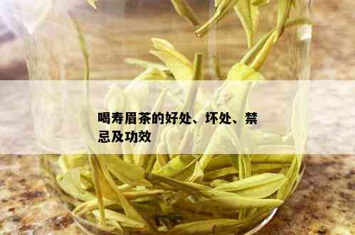 喝寿眉茶的好处、坏处、禁忌及功效