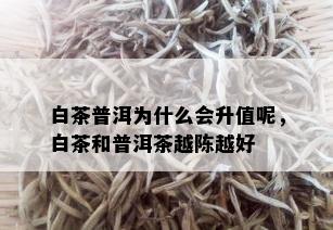 白茶普洱为什么会升值呢，白茶和普洱茶越陈越好