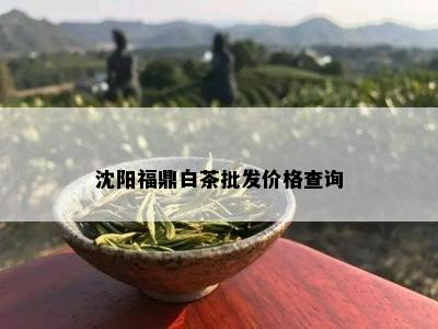 沈阳福鼎白茶批发价格查询