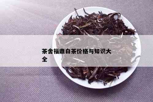 茶舍福鼎白茶价格与知识大全