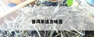 普洱茶适合啥壶