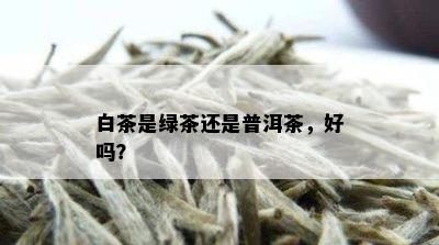 白茶是绿茶还是普洱茶，好吗？