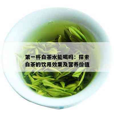 之一杯白茶水能喝吗：探索白茶的饮用效果及营养价值