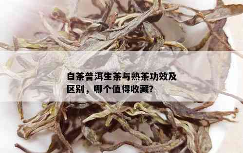 白茶普洱生茶与熟茶功效及区别，哪个值得收藏？