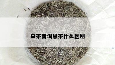 白茶普洱黑茶什么区别