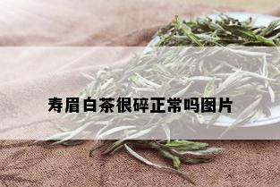 寿眉白茶很碎正常吗图片